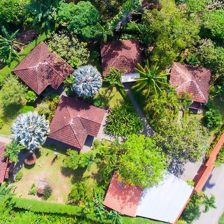 Casa Marcellino Lodge Cahuita Εξωτερικό φωτογραφία