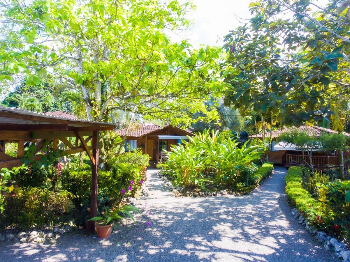 Casa Marcellino Lodge Cahuita Εξωτερικό φωτογραφία