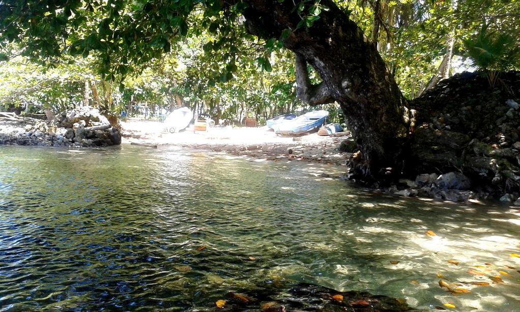 Casa Marcellino Lodge Cahuita Εξωτερικό φωτογραφία