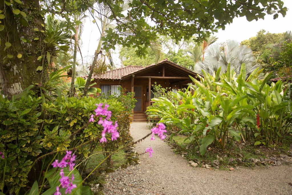 Casa Marcellino Lodge Cahuita Εξωτερικό φωτογραφία
