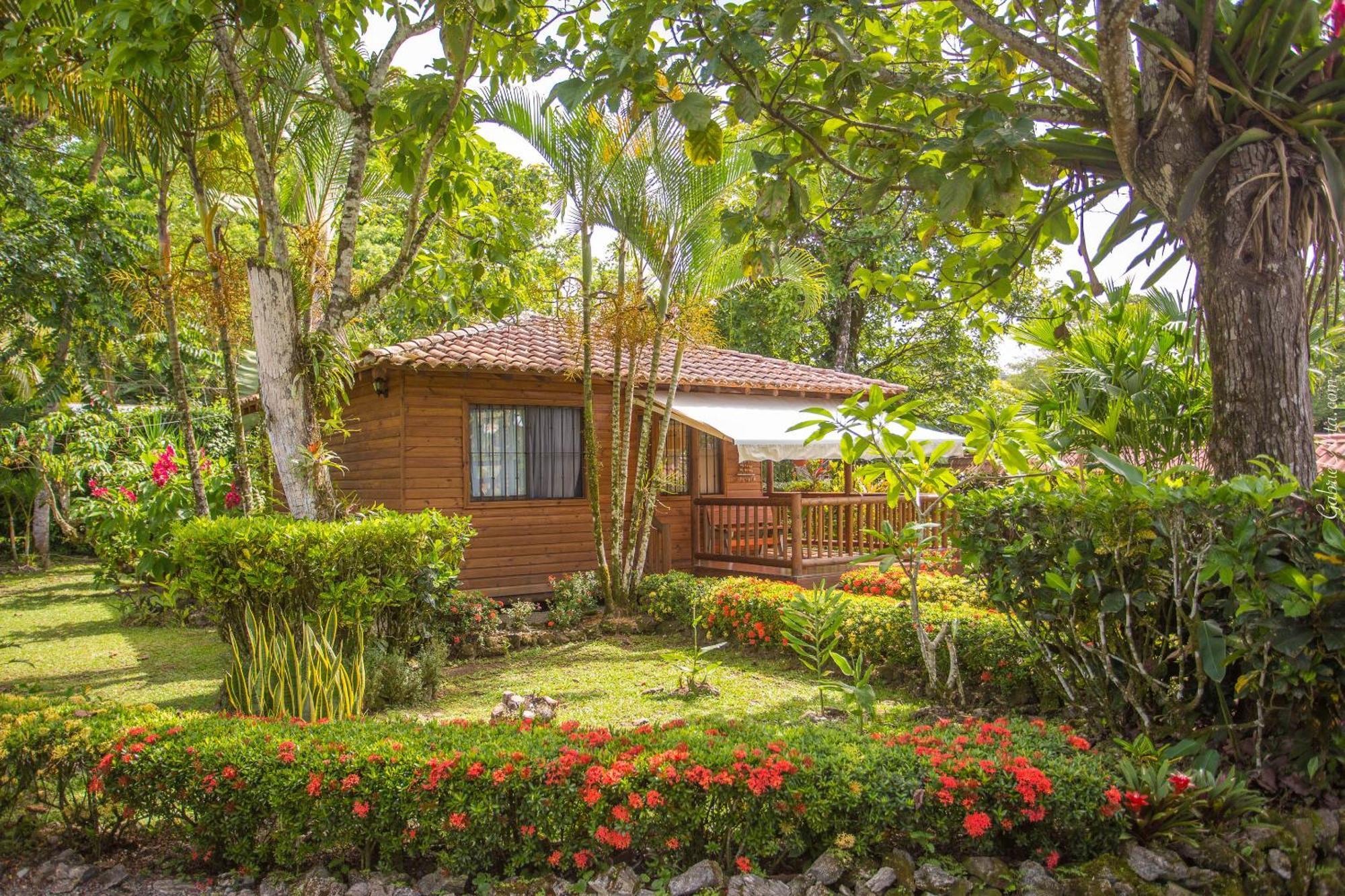 Casa Marcellino Lodge Cahuita Εξωτερικό φωτογραφία
