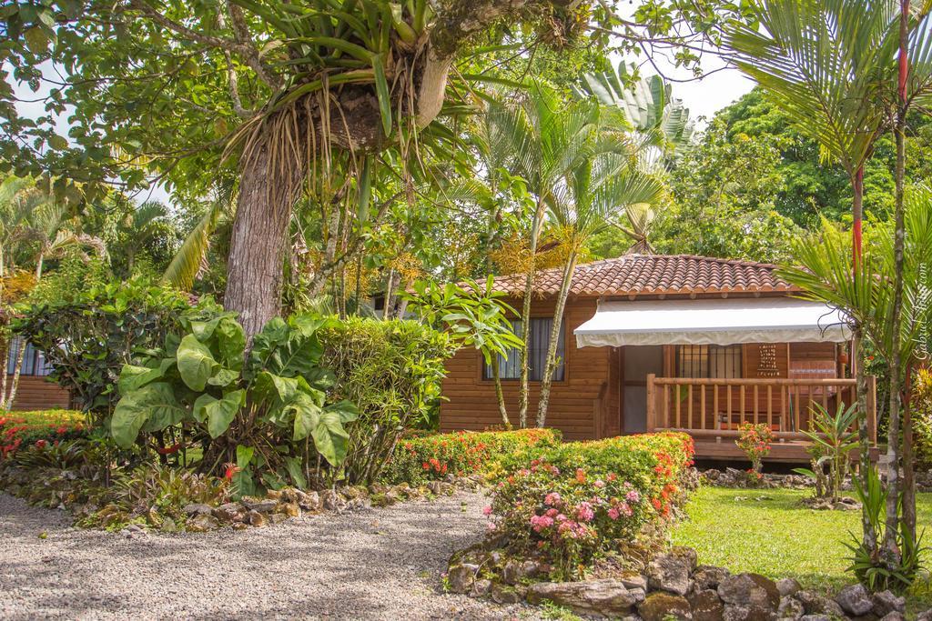Casa Marcellino Lodge Cahuita Εξωτερικό φωτογραφία