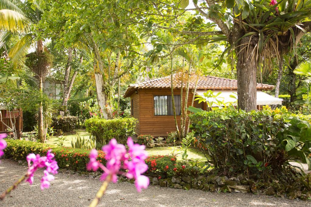 Casa Marcellino Lodge Cahuita Εξωτερικό φωτογραφία