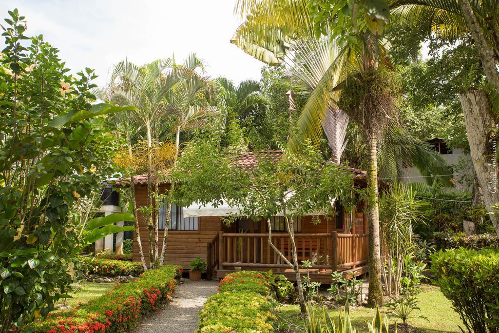 Casa Marcellino Lodge Cahuita Εξωτερικό φωτογραφία