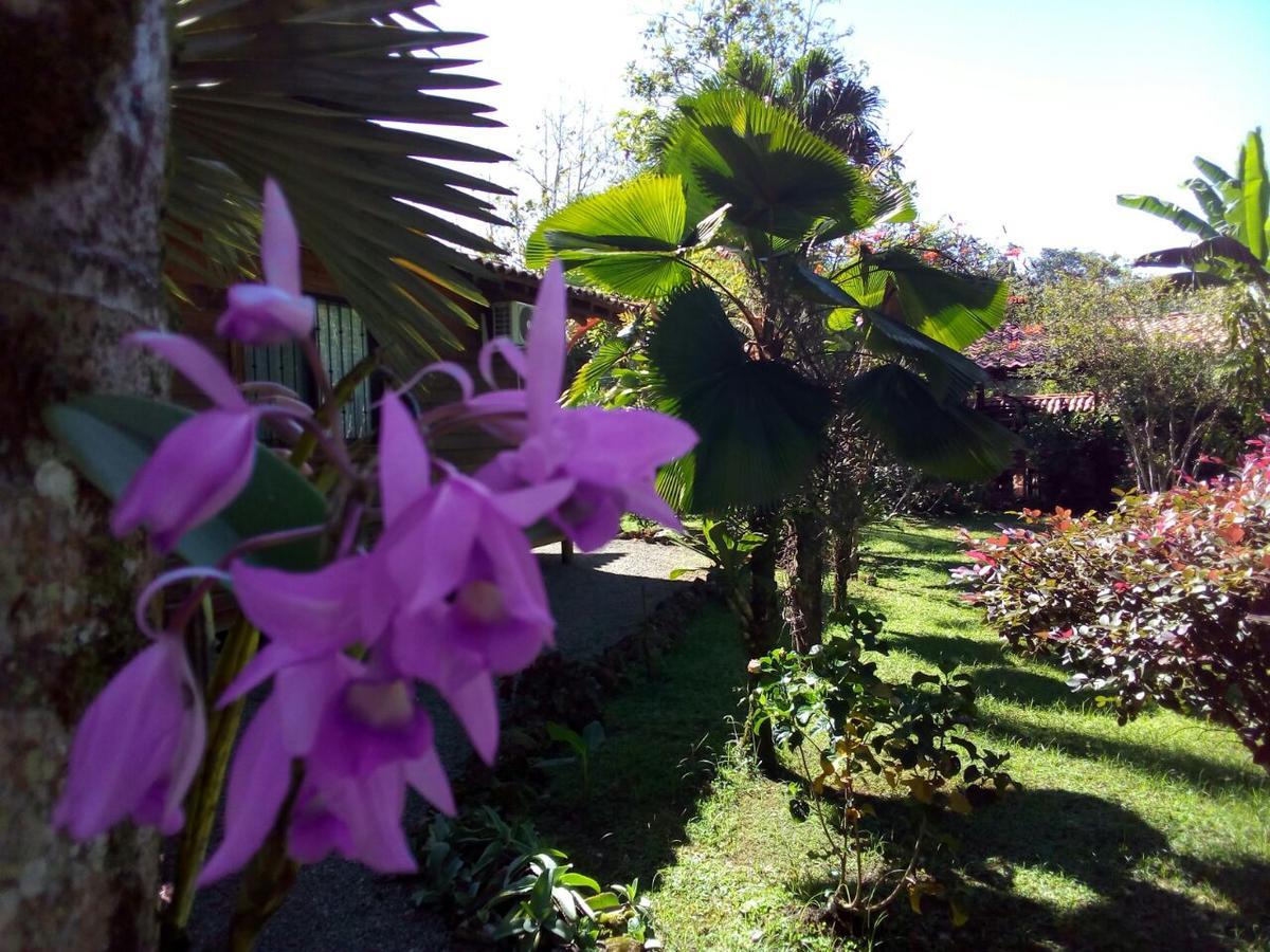 Casa Marcellino Lodge Cahuita Εξωτερικό φωτογραφία