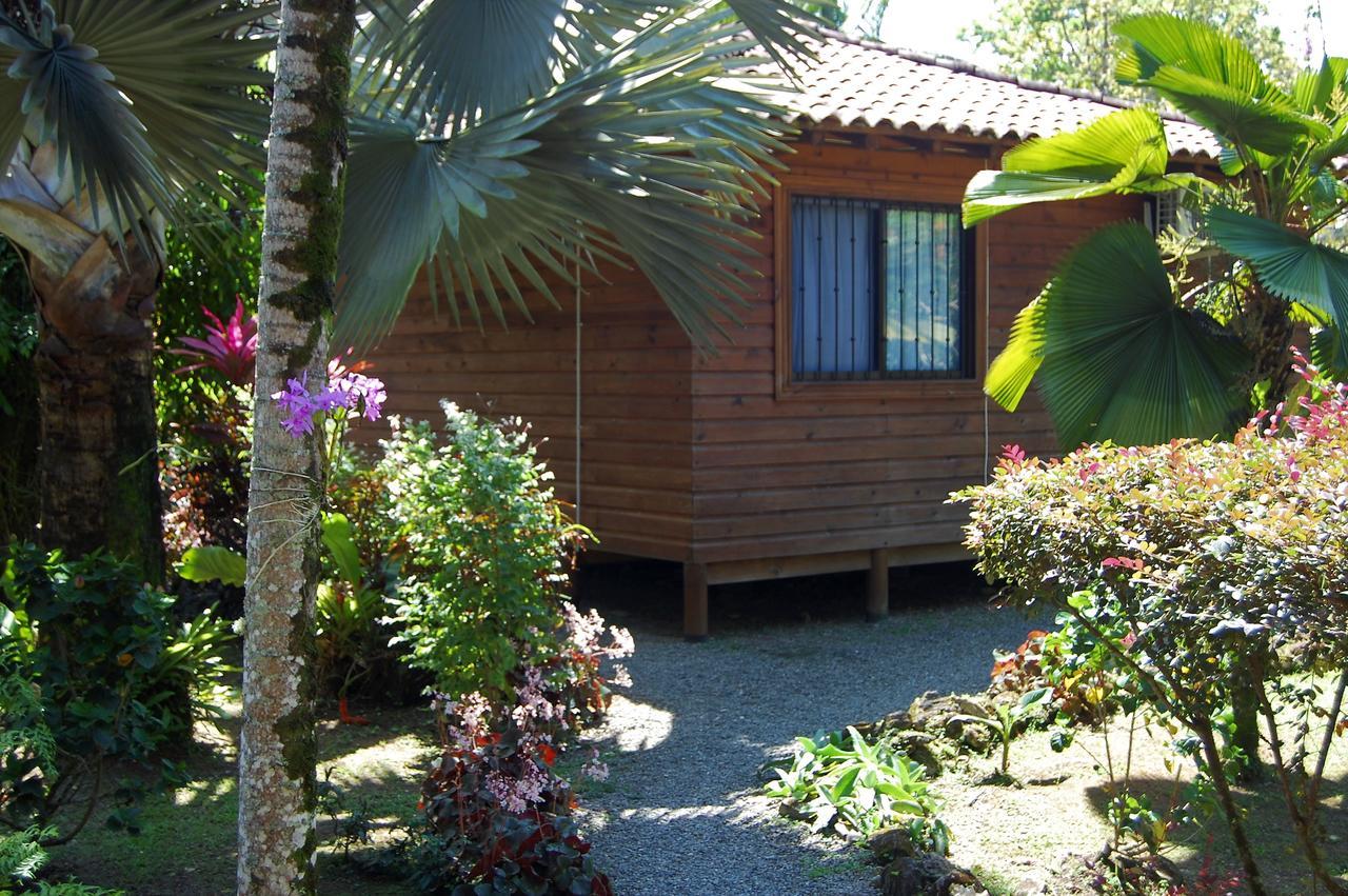 Casa Marcellino Lodge Cahuita Εξωτερικό φωτογραφία