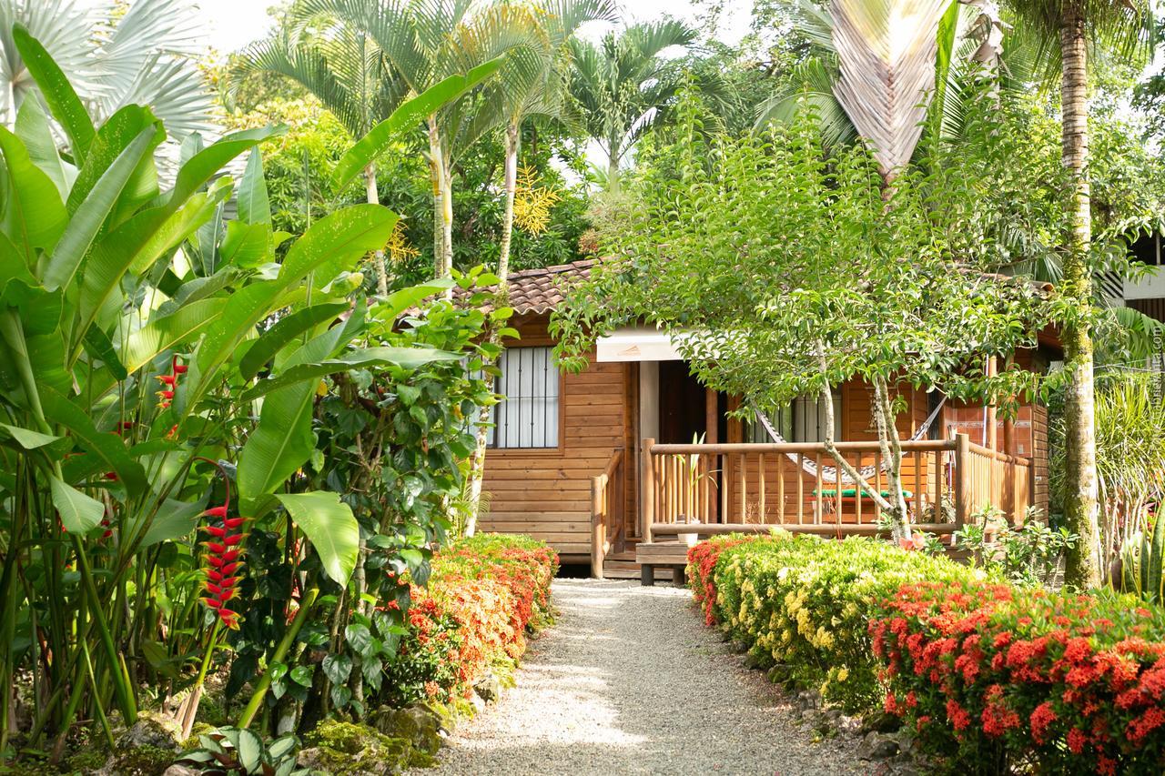 Casa Marcellino Lodge Cahuita Εξωτερικό φωτογραφία