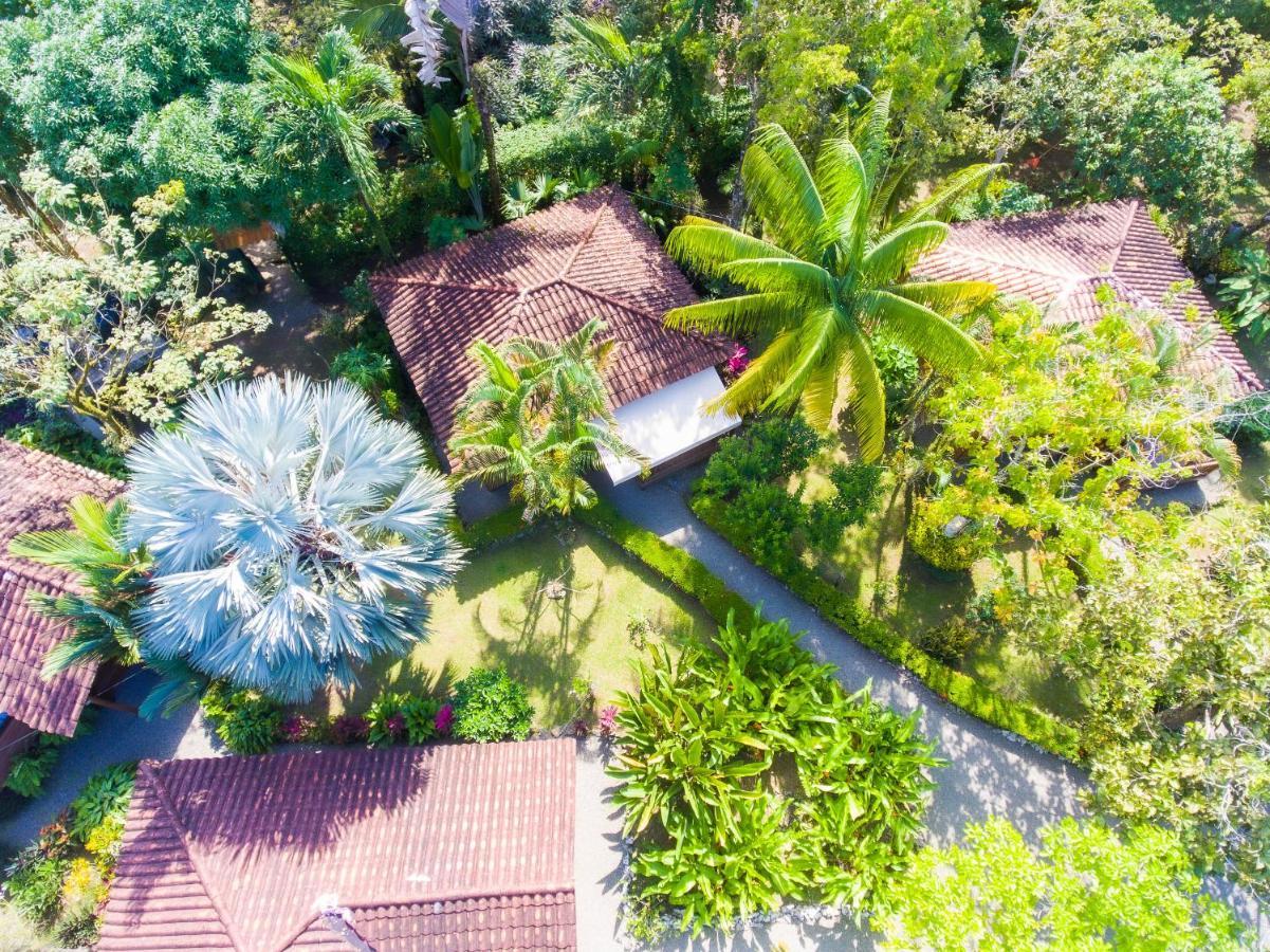 Casa Marcellino Lodge Cahuita Εξωτερικό φωτογραφία